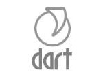 Dart-proiect